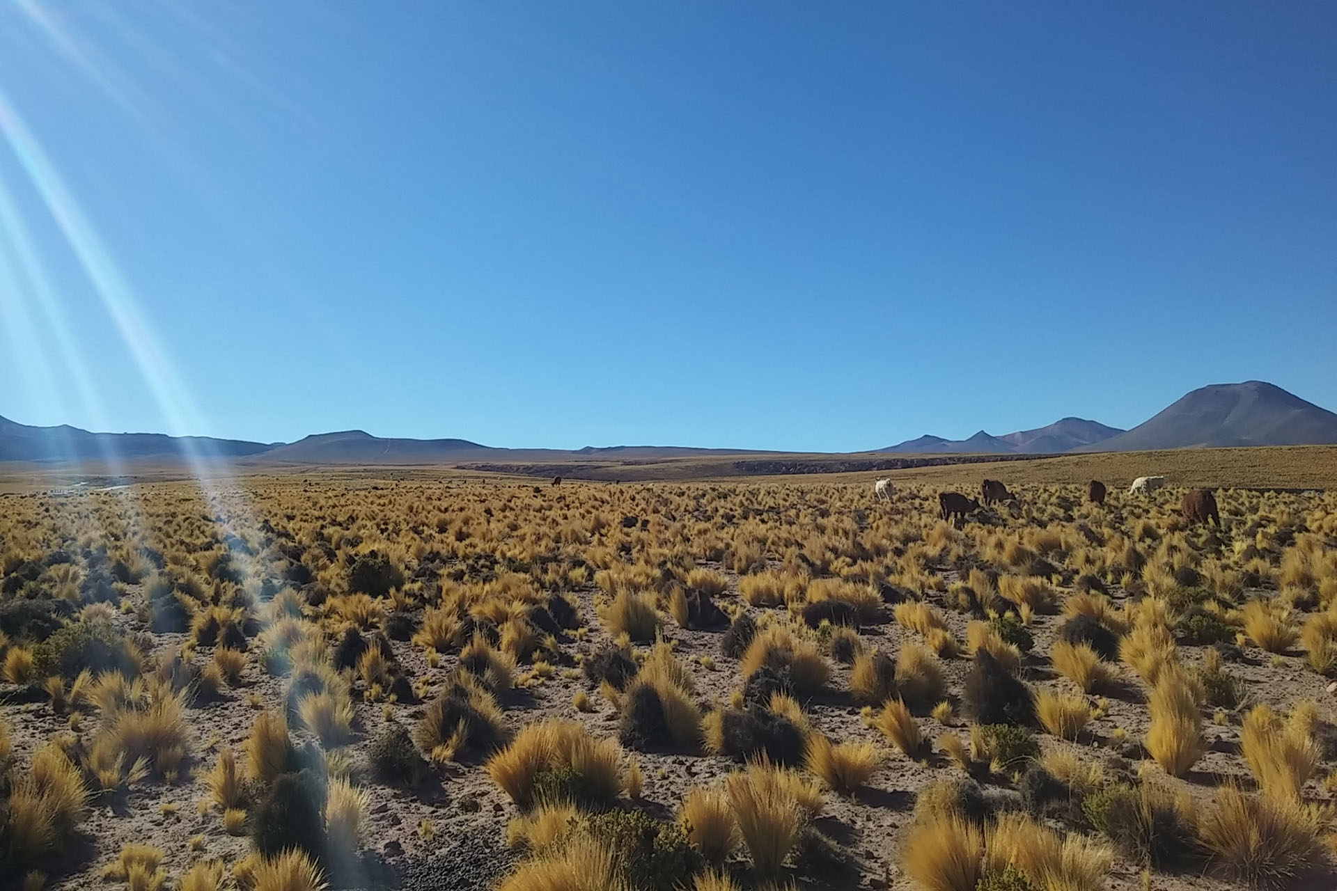 deserto-do-atacama