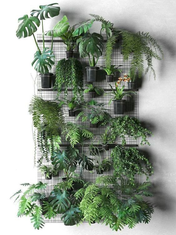 Jardim_Vertical_Garden_Pinterest