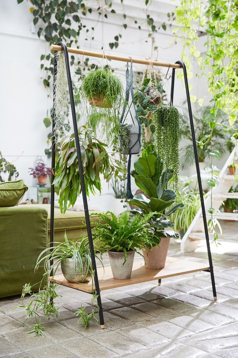 Jardim_Vertical_Garden_Pinterest