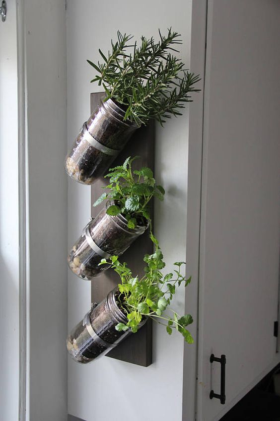 Jardim_Vertical_Garden_Pinterest