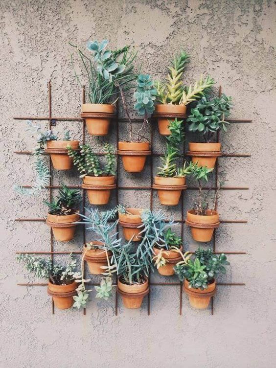 Jardim_Vertical_Garden_Pinterest