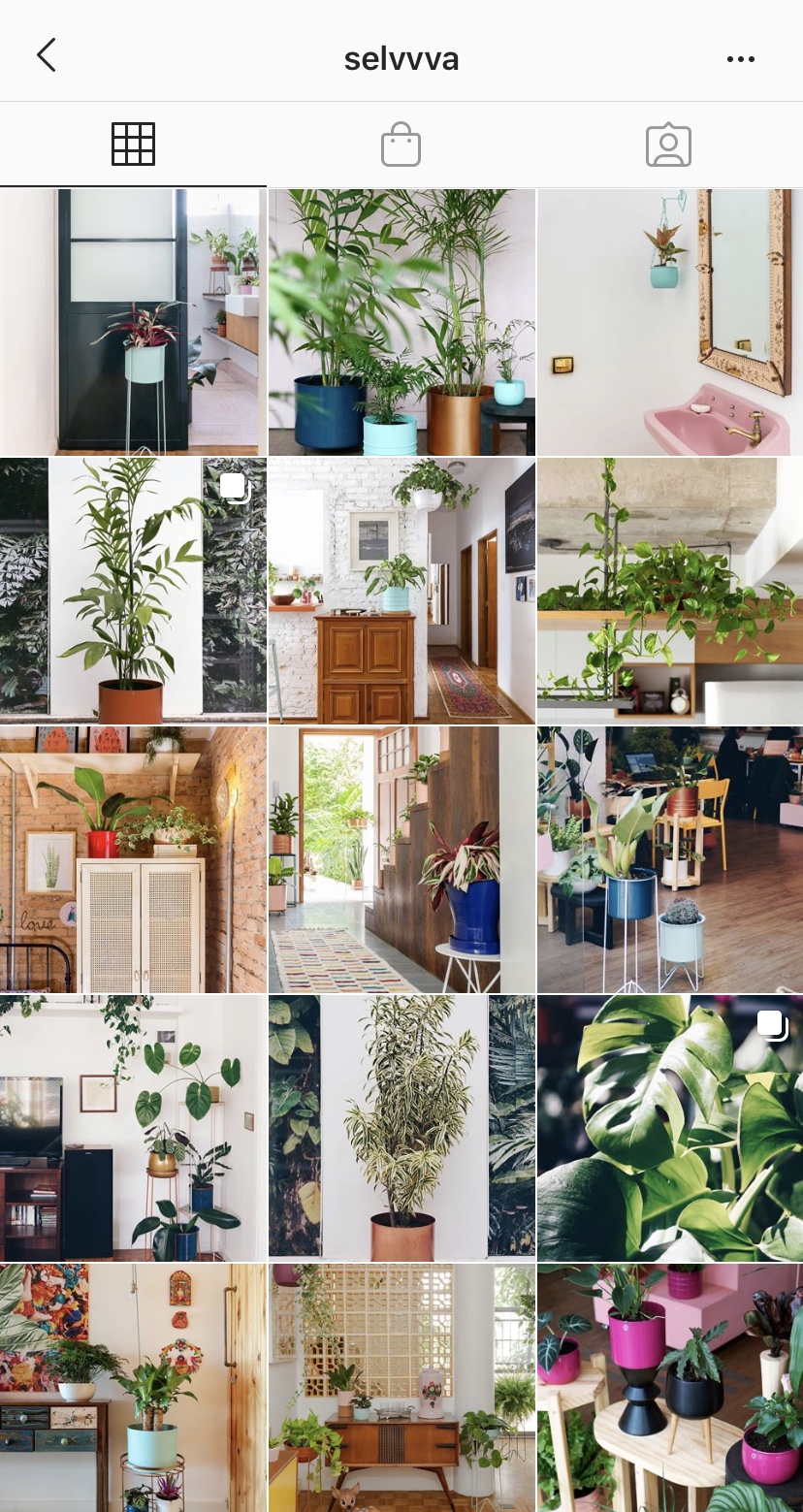 Instagram_Plantas_Selvvva