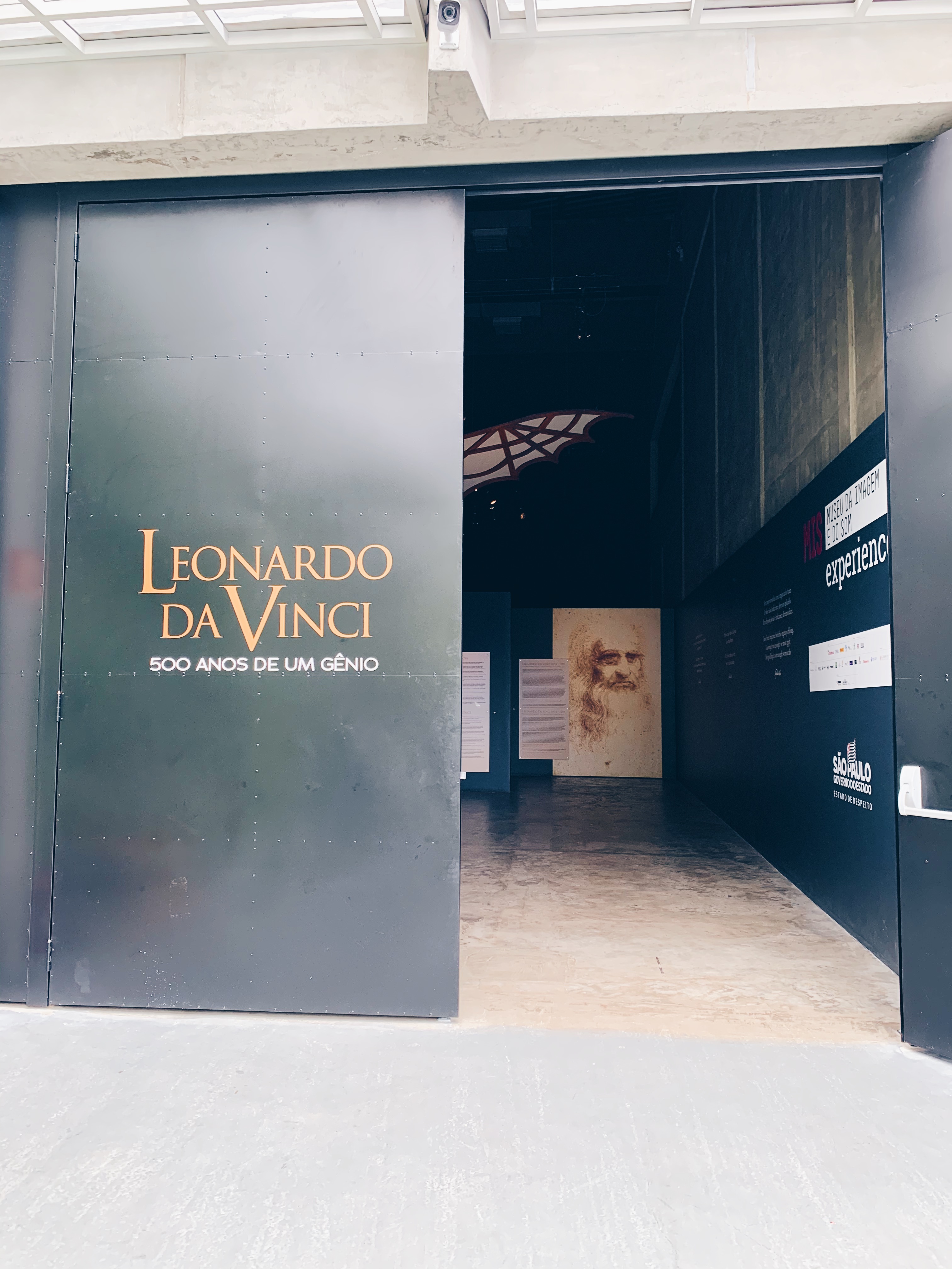 Leonardo da Vinci MIS Experience