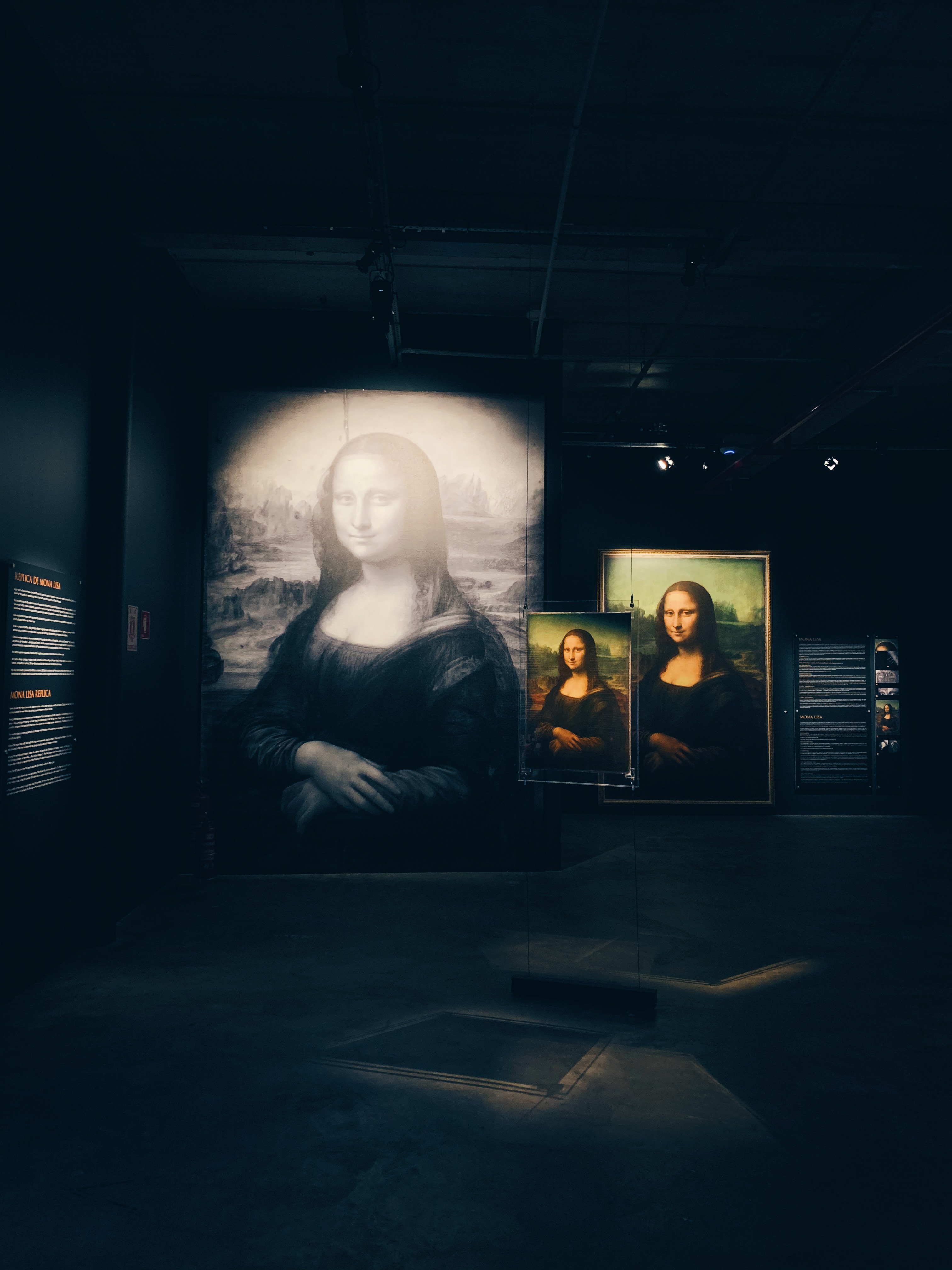 Leonardo da Vinci MIS Experience