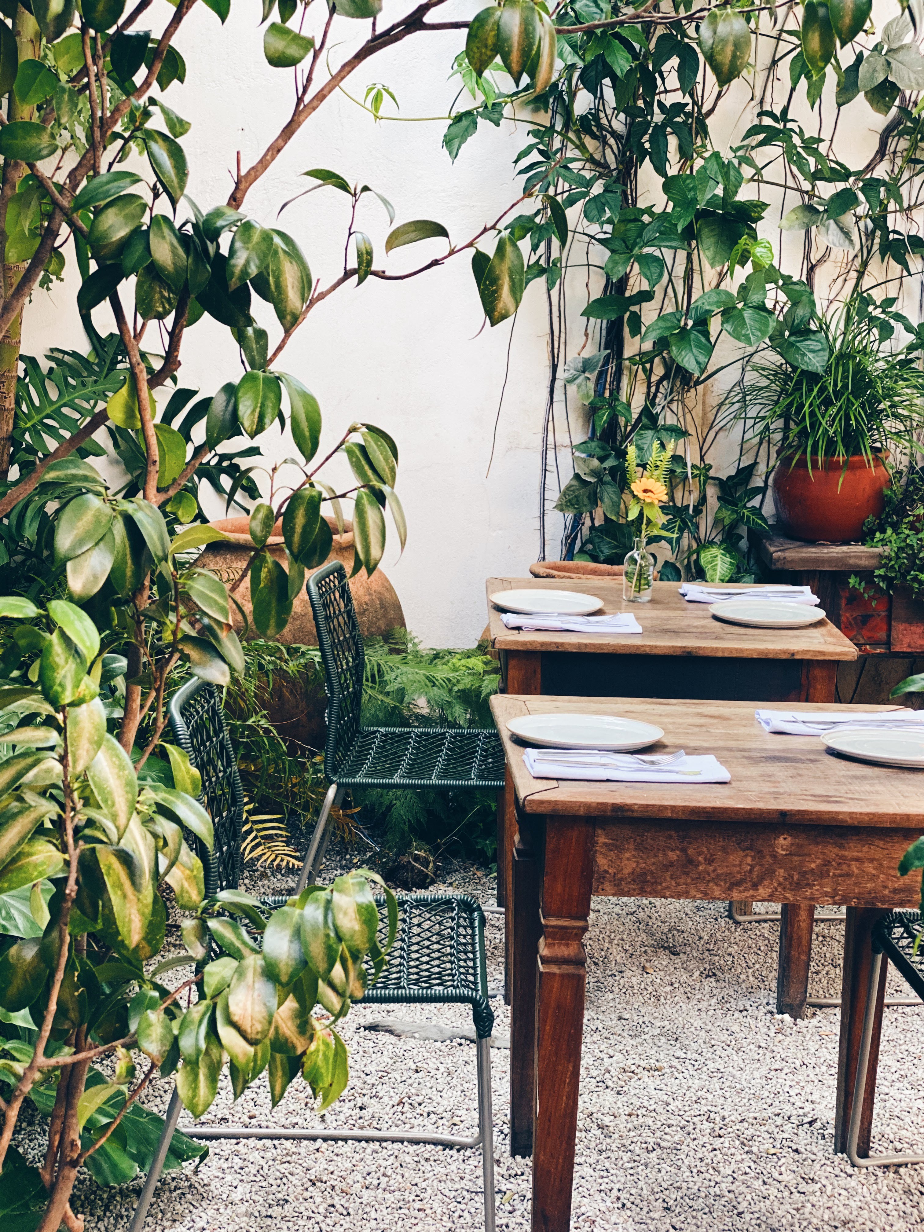 Gael Cozinha Mestiça: gastronomia contemporânea em clima caseiro