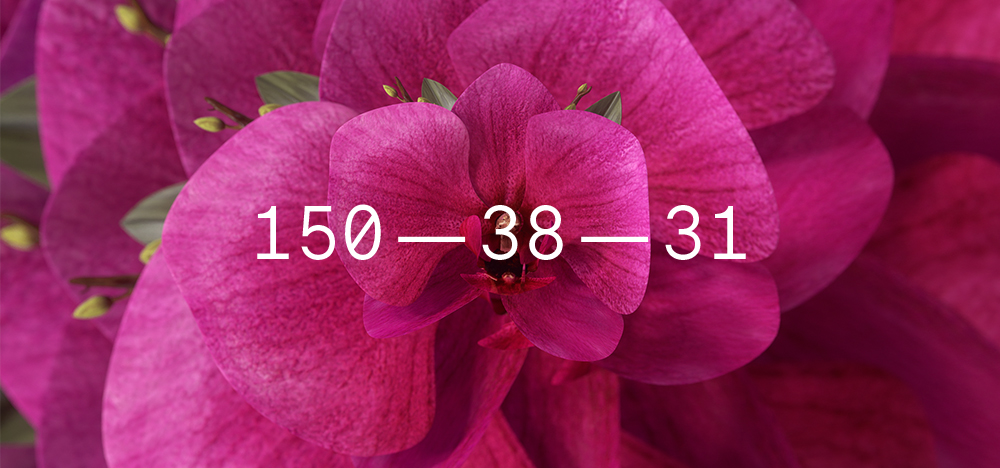 Coloro + WGSN Colour of the Year 2022 Orchid Flower