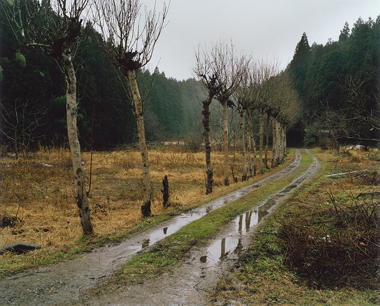 Kata - Inédita na América Latina, a exposição conta com 74 fotografias de Naoki Ishikawa