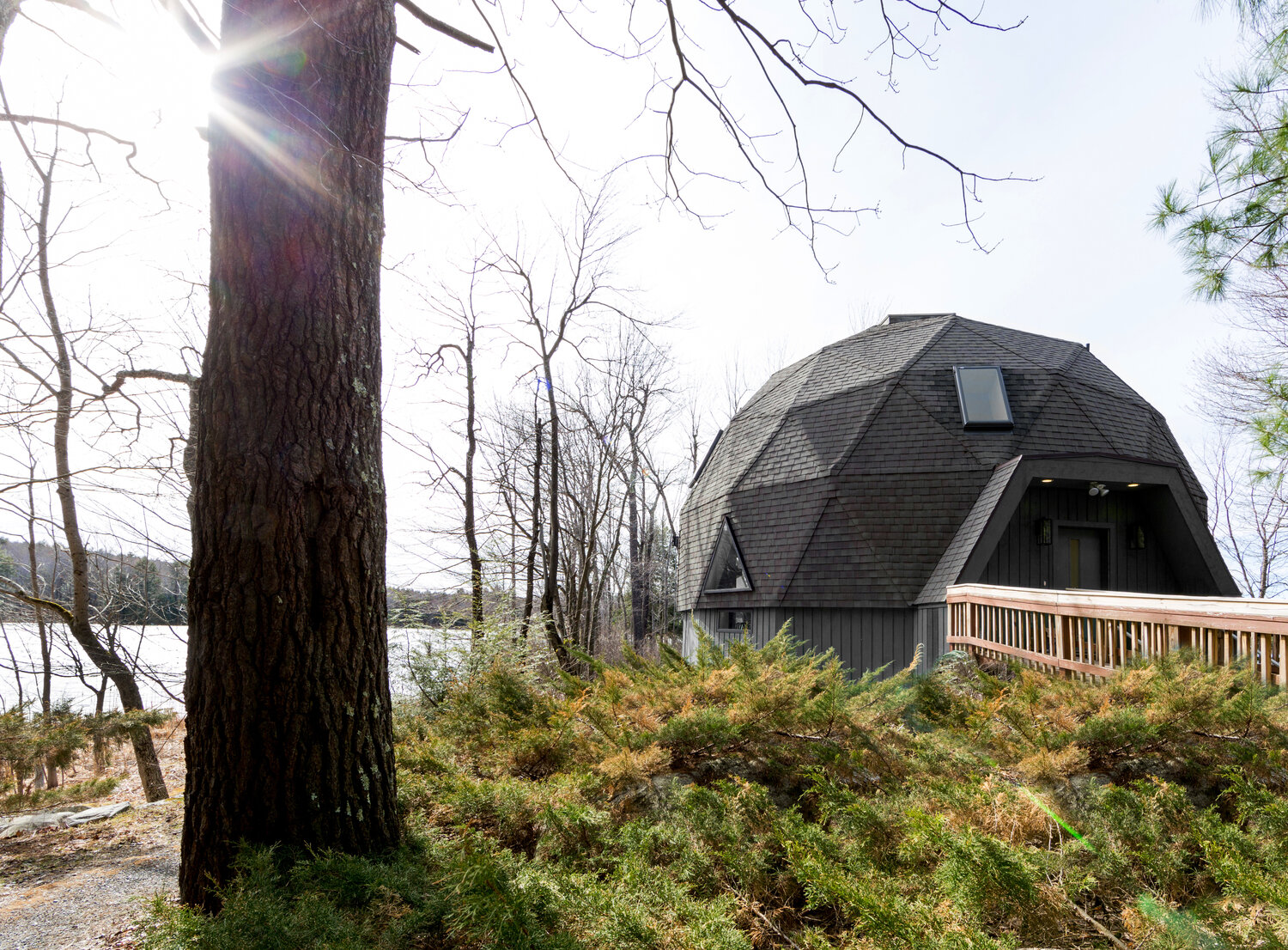 Mid-Century Geodesic Dome Jess Cooney