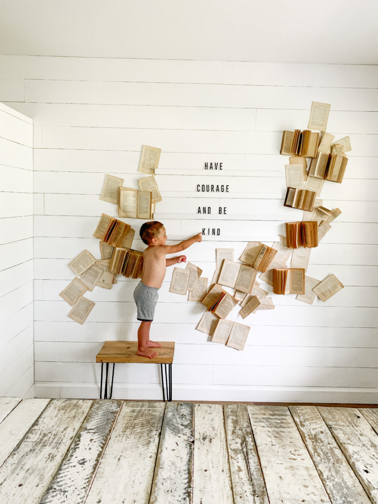 Dia do Livro Decor with Books Inspiration Bookshelf Library