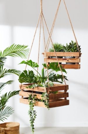 Jardim_Vertical_Garden_Pinterest