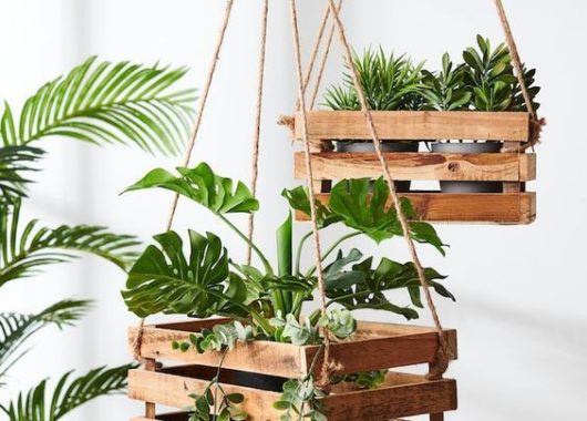 Jardim_Vertical_Garden_Pinterest